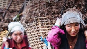 ????????????????????????????????