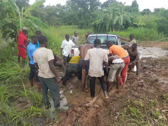 Sheini transport stekjes blijft steken